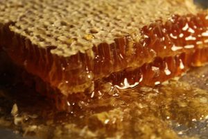 smaller honeycomb_web